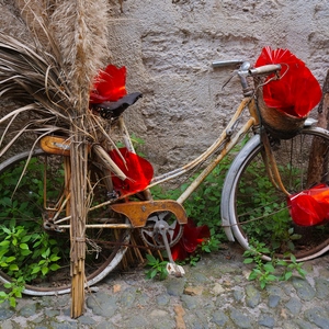 Vélo décoré de gerbes de plantes sèches et de tissu rouge posé sur un mur dans une ruelle pavée - France  - collection de photos clin d'oeil, catégorie clindoeil